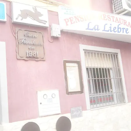 Pension Restaurante La Liebre-2